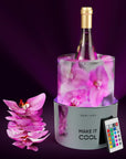 LED Wine Chiller Ice Bucket Mold with Remote Control