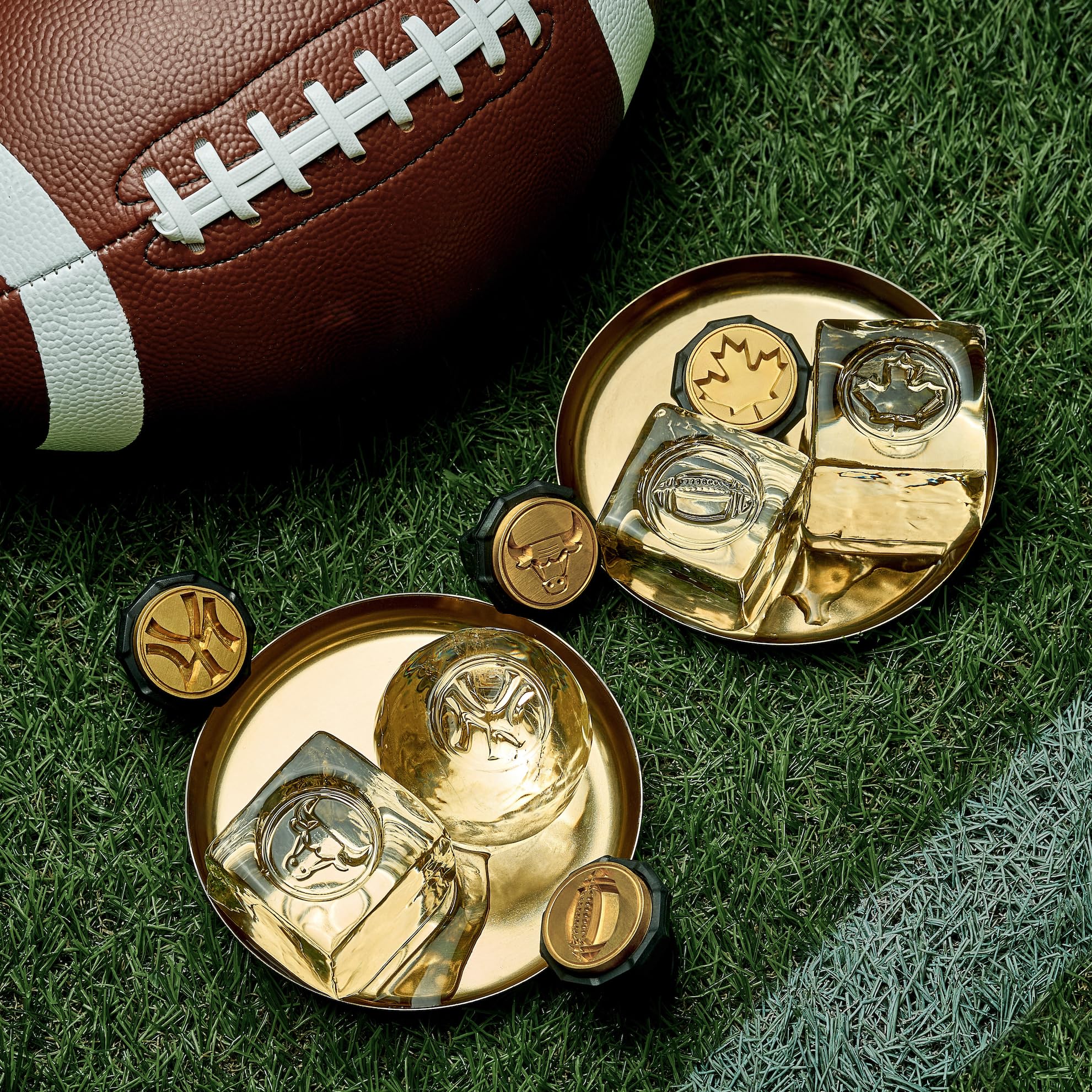 Ice Stamp Ring Skull shaped