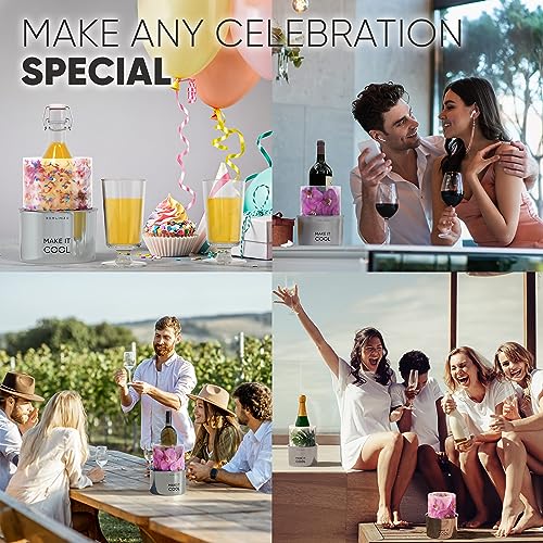 Wine Chiller Ice Bucket Mold